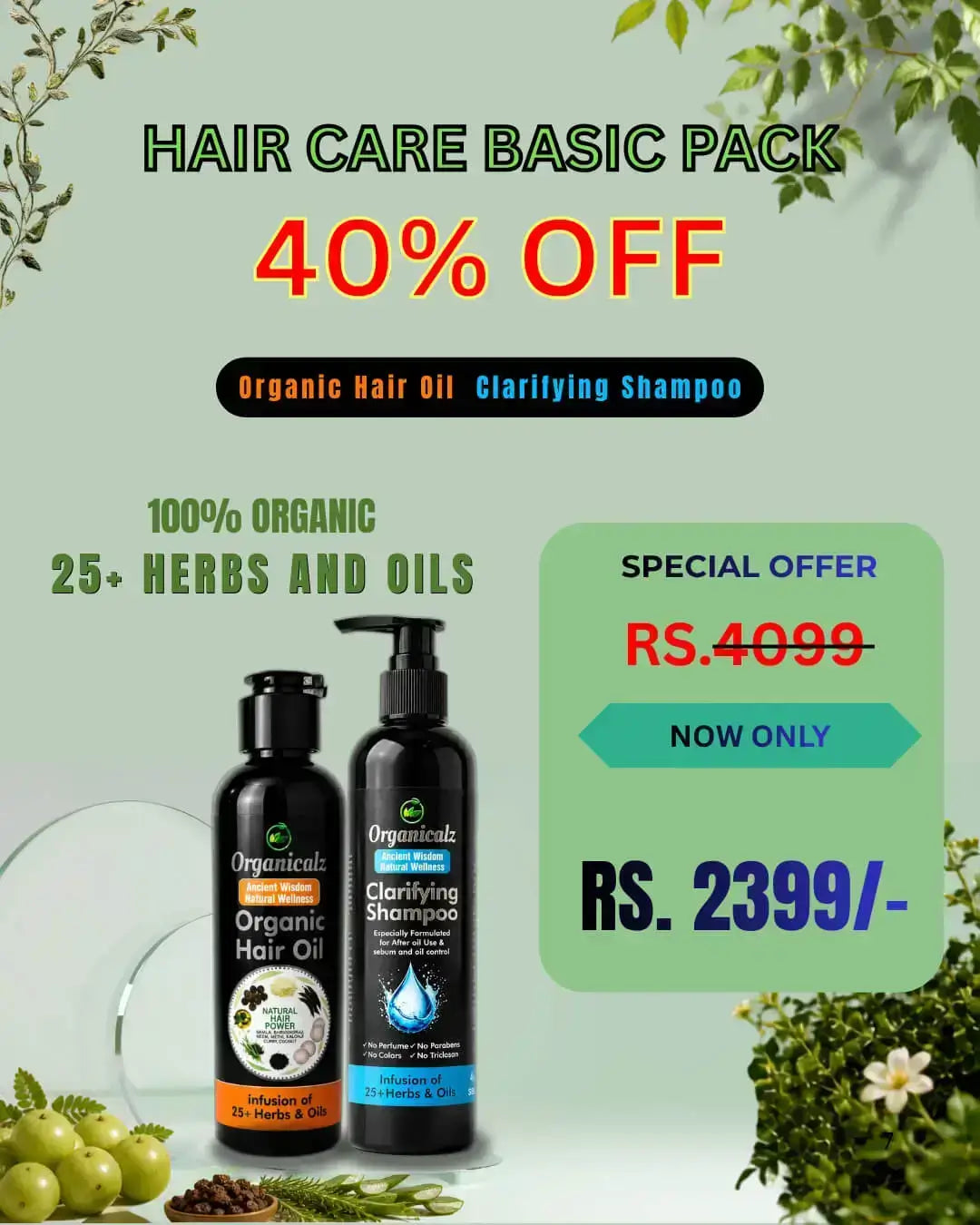 Hair Care basic pack (pack of 2)
